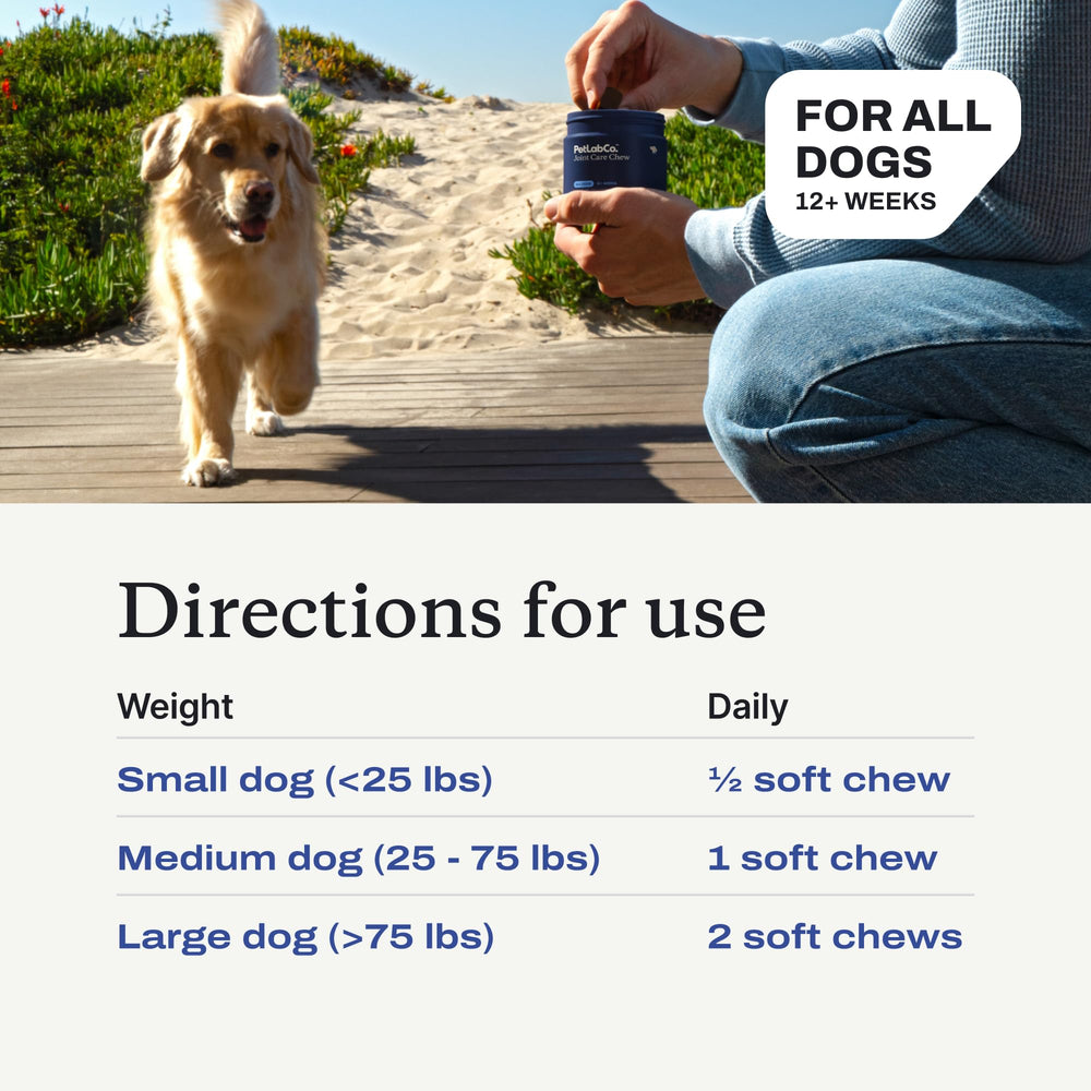PetLab Co Joint Care Chews USA-made badge on packaging signaling quality.