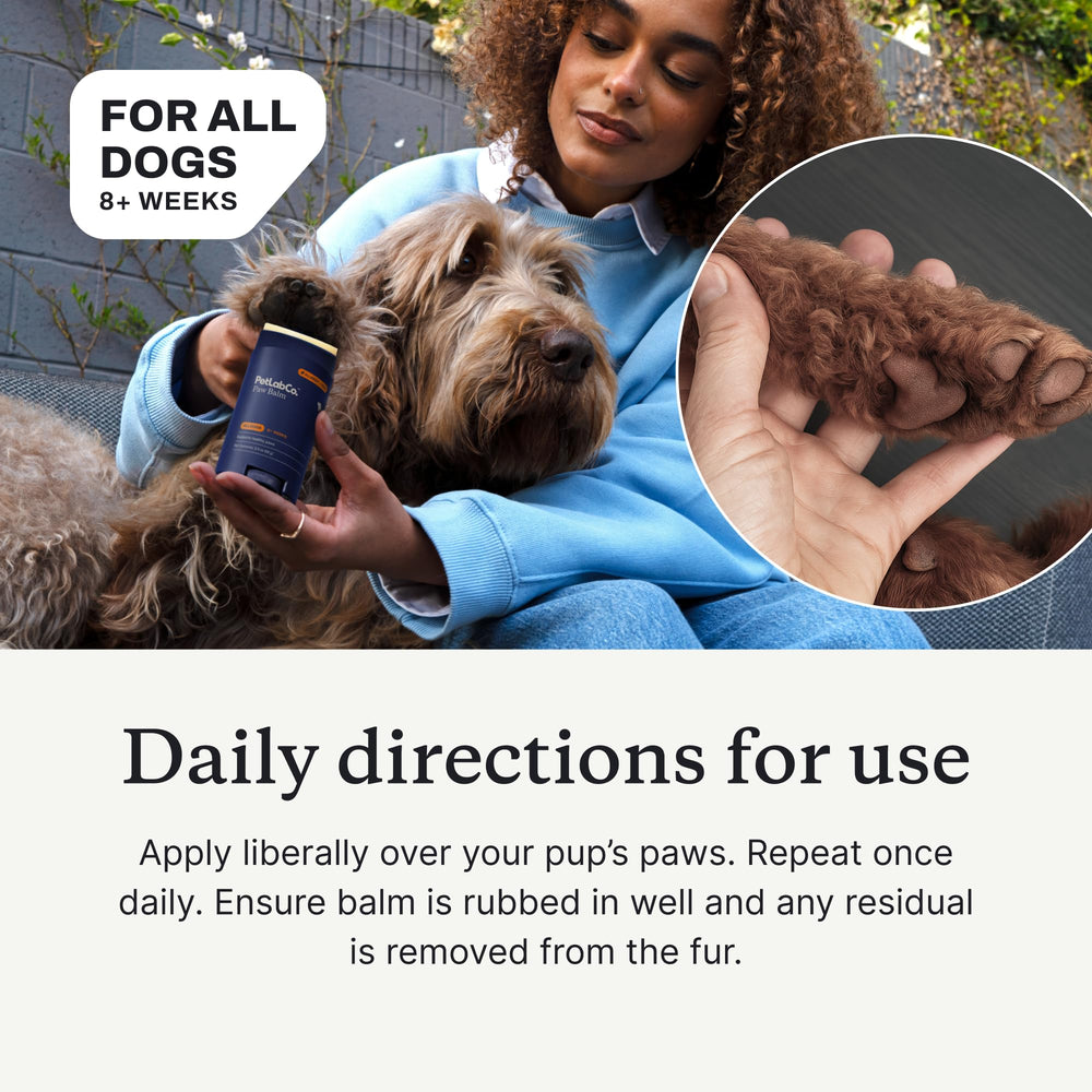 PetLab Co. Paw Balm packaging displayed on a clean surface