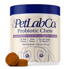 PetLab Co probiotics for dogs pork-flavor soft chews on kitchen counter for digestive support.