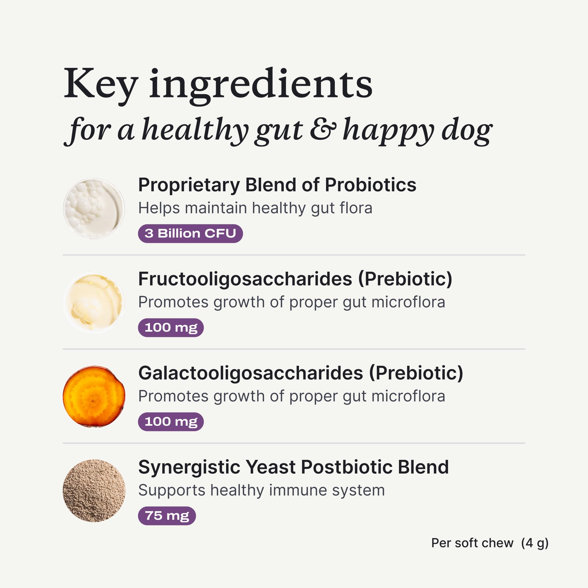 PetLab Co. Probiotics prebiotic inulin improves gut environment