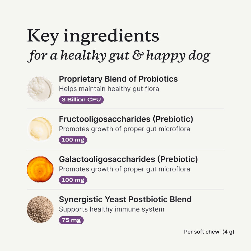 PetLab Co. Probiotics prebiotic inulin improves gut environment