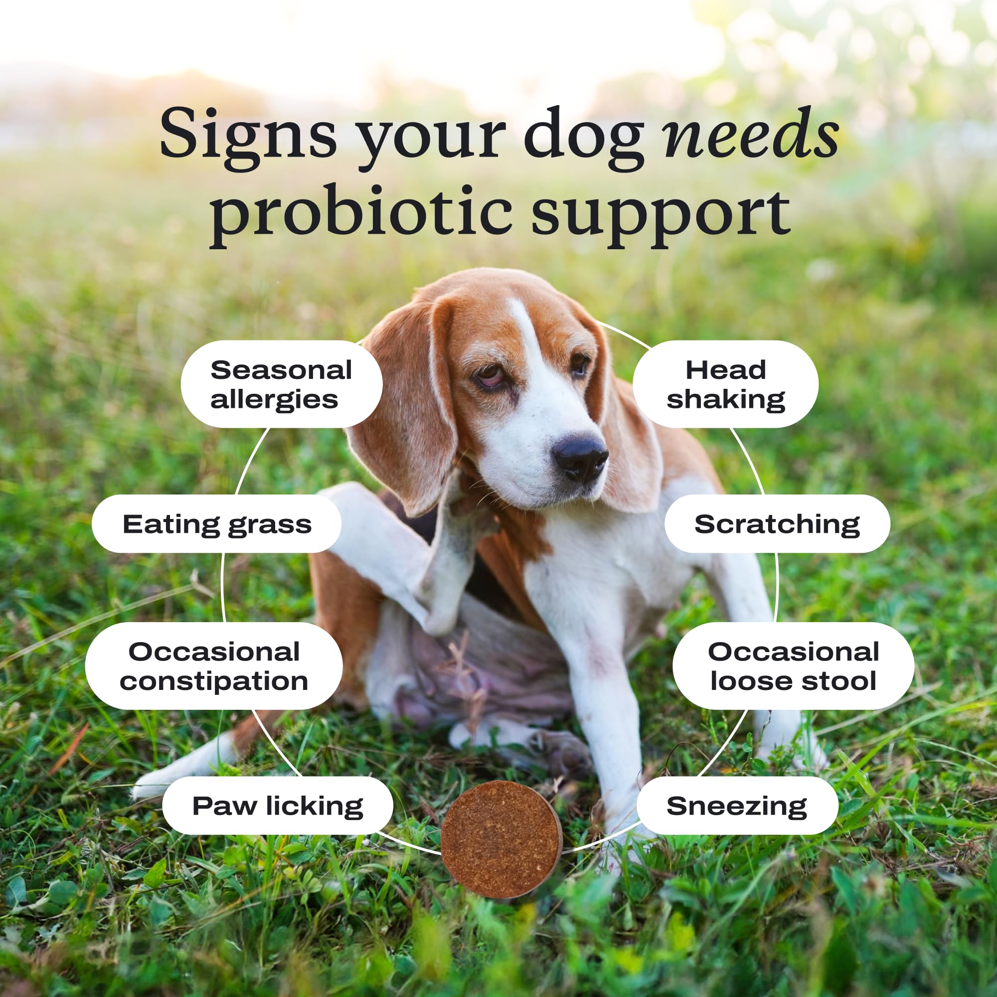 PetLab Co. Probiotics USA manufactured label emphasizing quality control