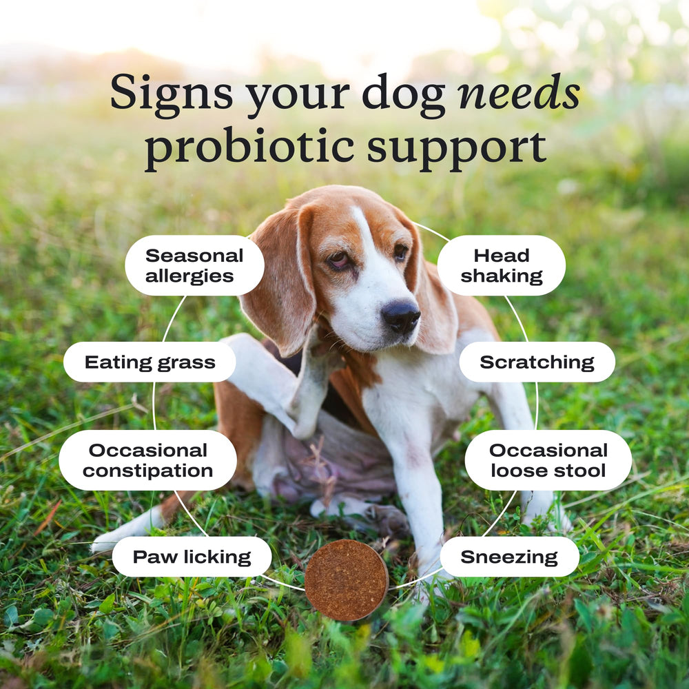 PetLab Co. Probiotics USA manufactured label emphasizing quality control