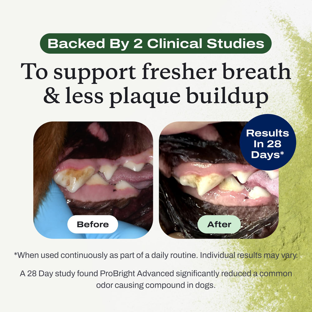 PetLab Co ProBright 28-day-results panel hints at breath improvement over weeks