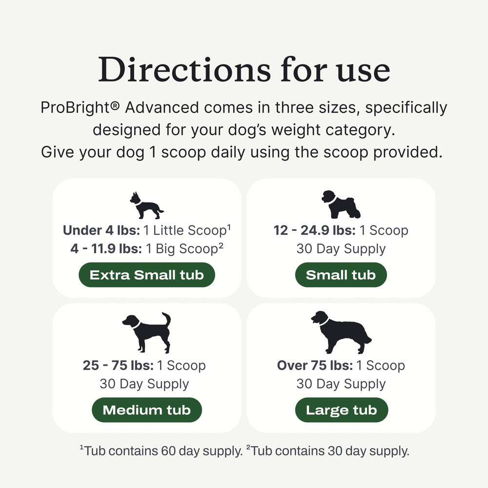 PetLab Co ProBright daily-use sprinkle on dog food supports routine care