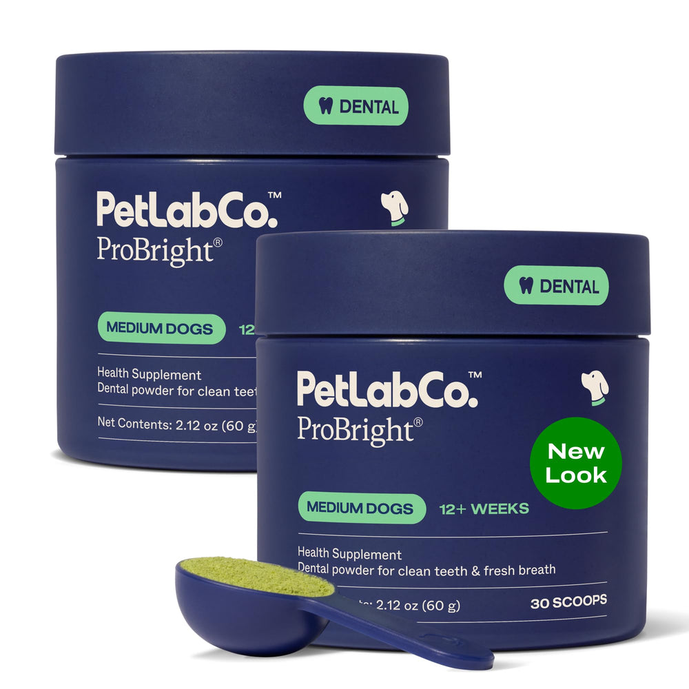 PetLab Co ProBright dental powder packaging for easy at-home care