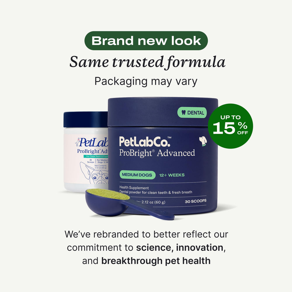 PetLab Co ProBright fresh-breath dog image suggests reduced odor