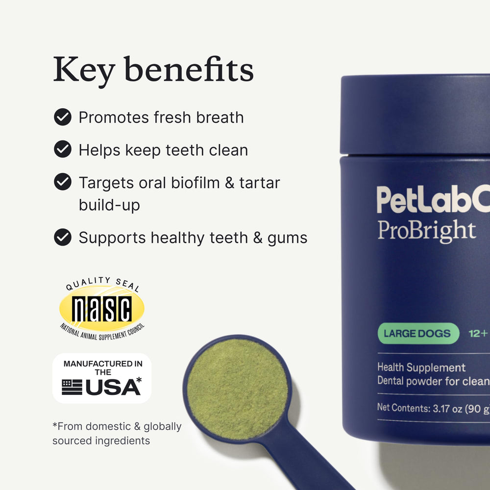 PetLab Co ProBright large-dog formula scoop shown for accurate dosing