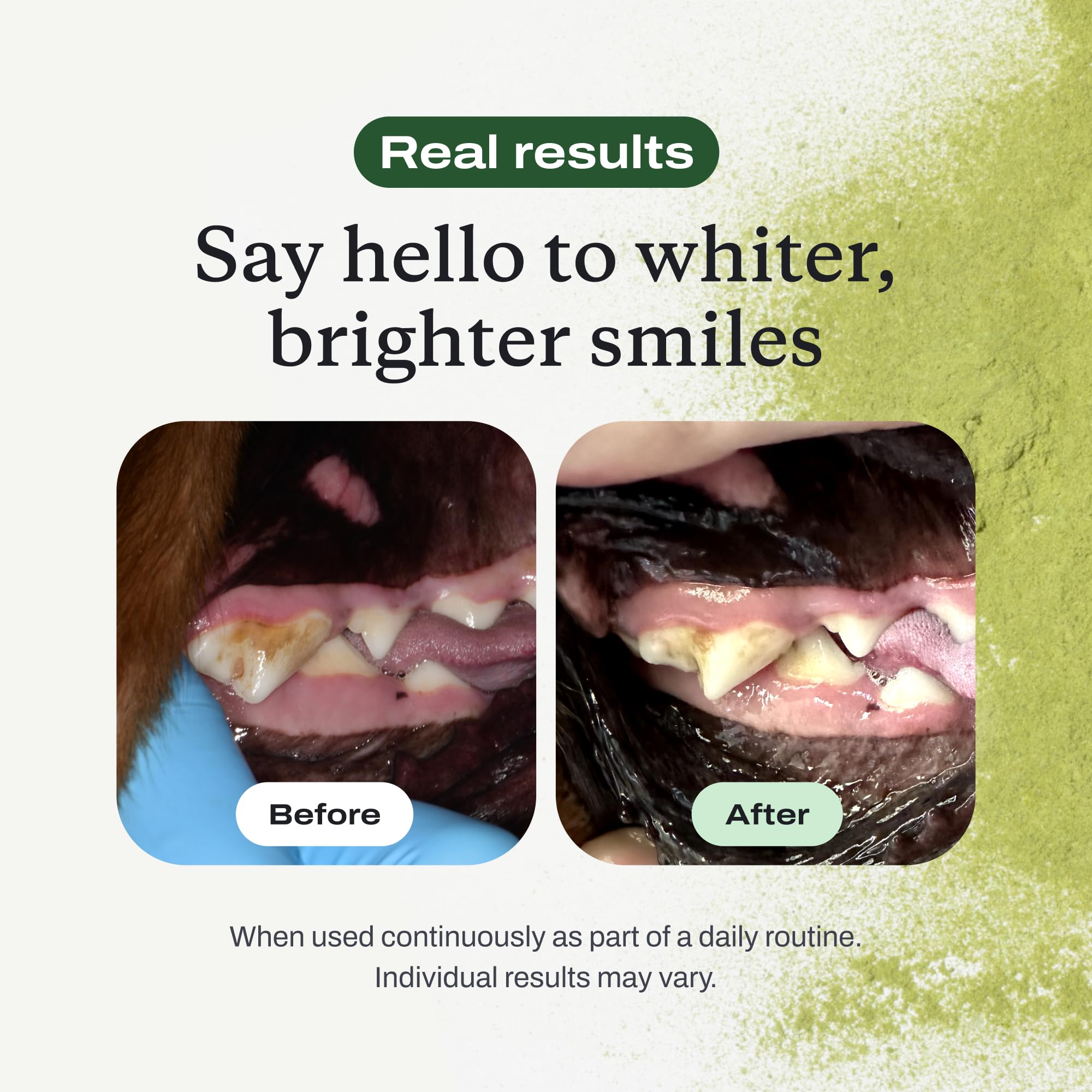 PetLab Co ProBright powder scoop in-use for daily dental care