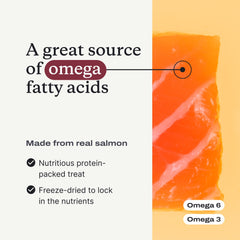 PetLab Co. Salmon Bites serving suggestion demonstrates a tasty meal-time reward