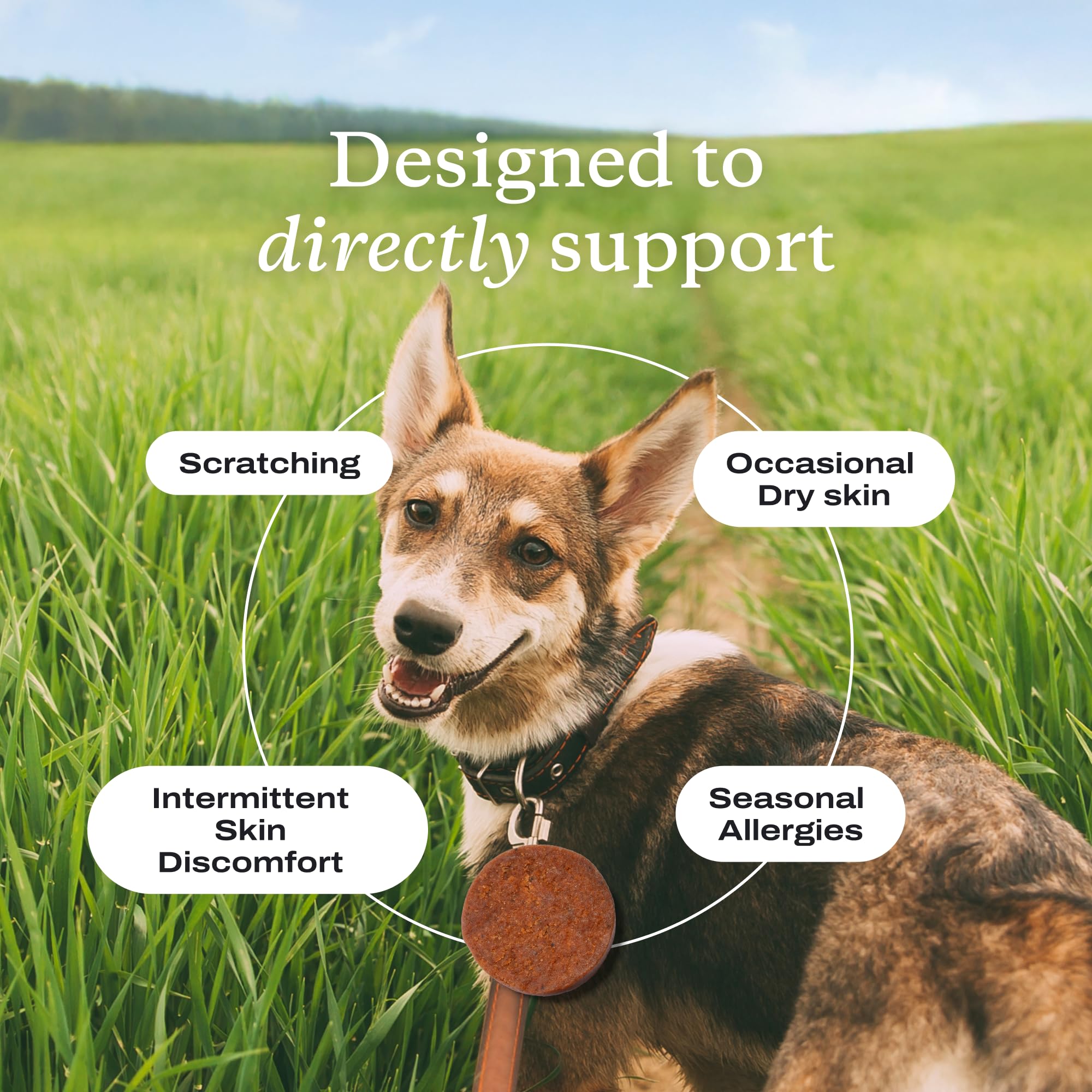 PetLab Co. Salmon Itch Relief Chew Pro ingredients-omega-3 highlights essential fatty acids aiding coat health.