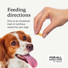 PetLab Co. USA-made label emphasizes safe ingredients and quality