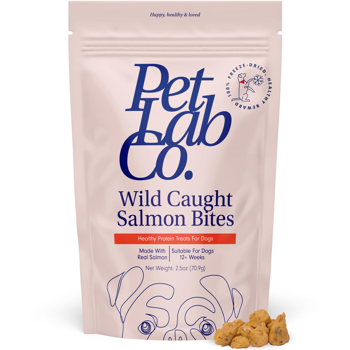 PetLab Co. Wild Caught Salmon Bites bag showing skin and coat health benefits