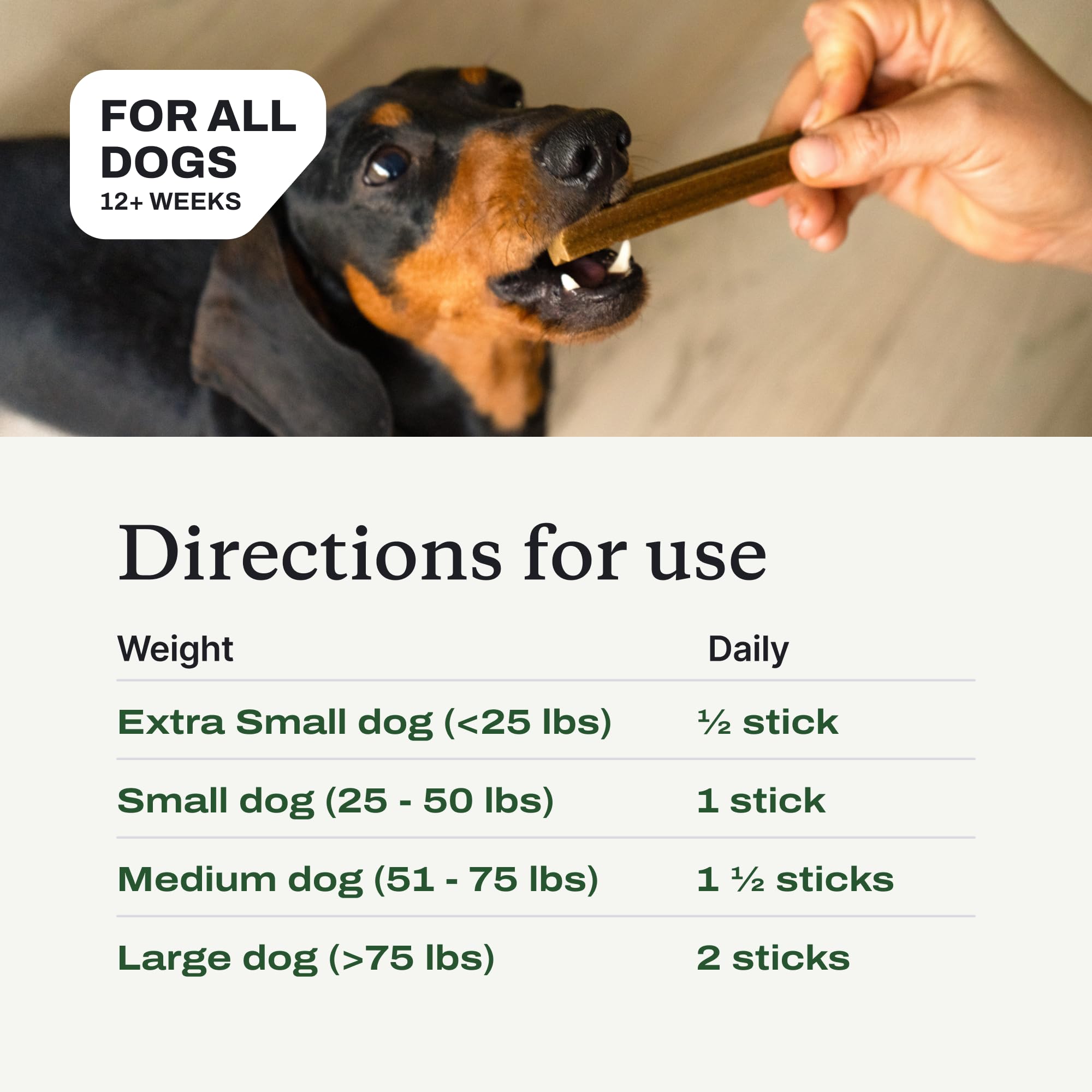 PetLab Co Dental Sticks being chewed by a dog shows tasty dental care.