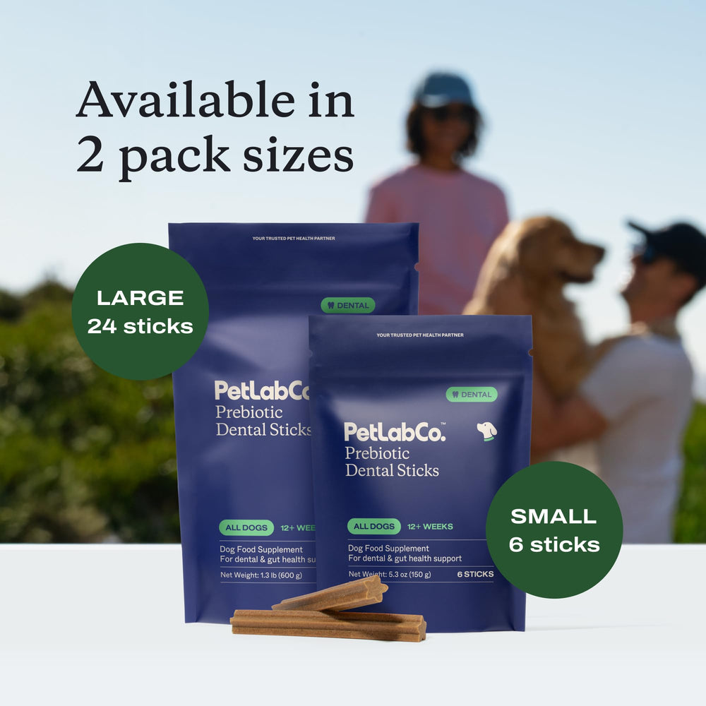 PetLab Co Dental Sticks lifestyle shot encourages Subscribe and Save option.