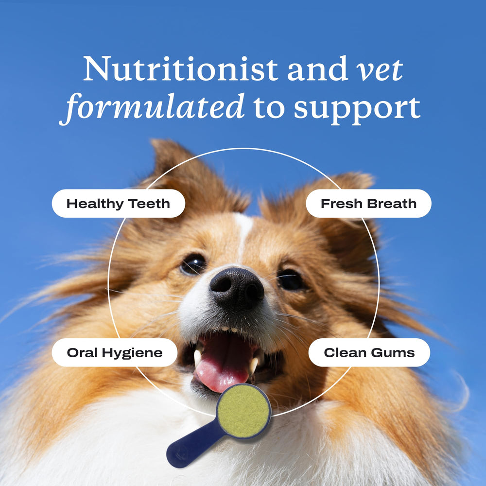 PetLab Co. ProBright tartar-targeting image indicates improved oral cleanliness with simple daily use.
