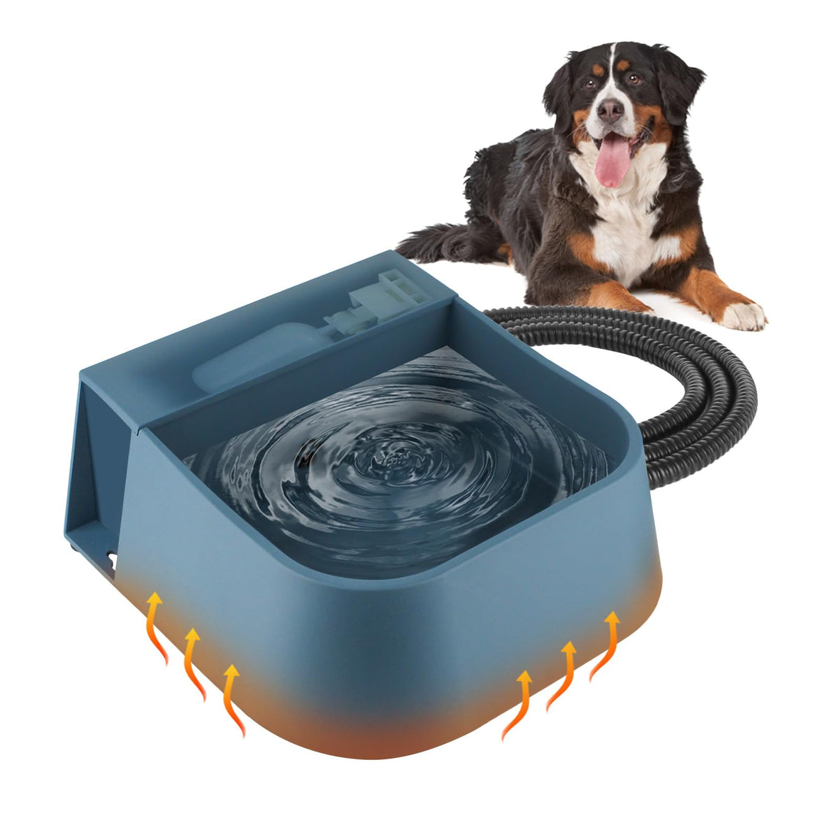 PETLESO automatic heated water bowl exterior keeps water unfrozen for pets.