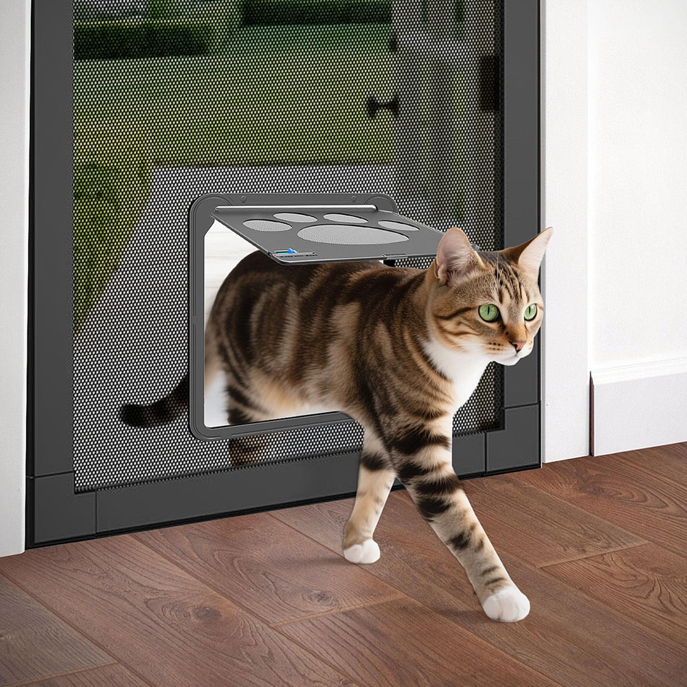 PETLESO bottom-lock sliding design for pet safety.