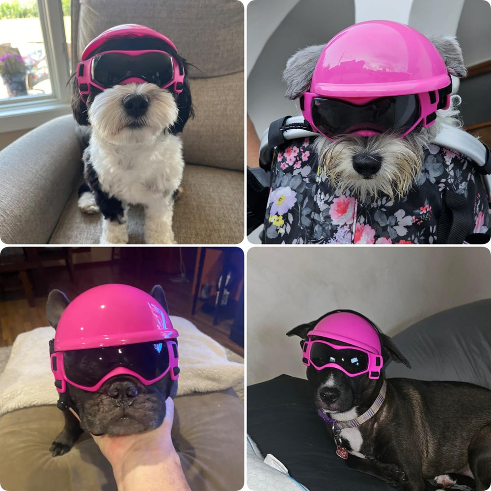 PETLESO dog goggles adjustable straps for secure, custom fit