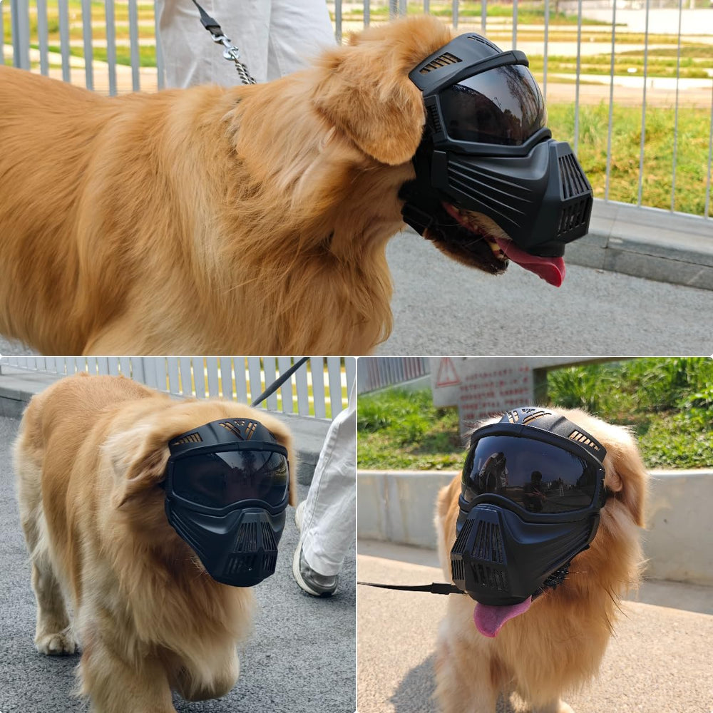 PETLESO dog goggles ideal for driving, hiking, and outdoor activities