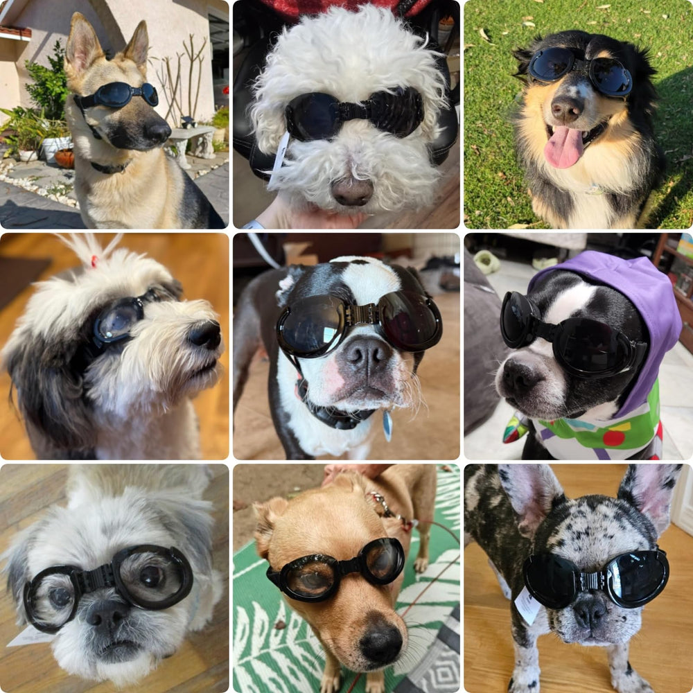 PETLESO dog goggles interchangeable lenses in black for sun protection