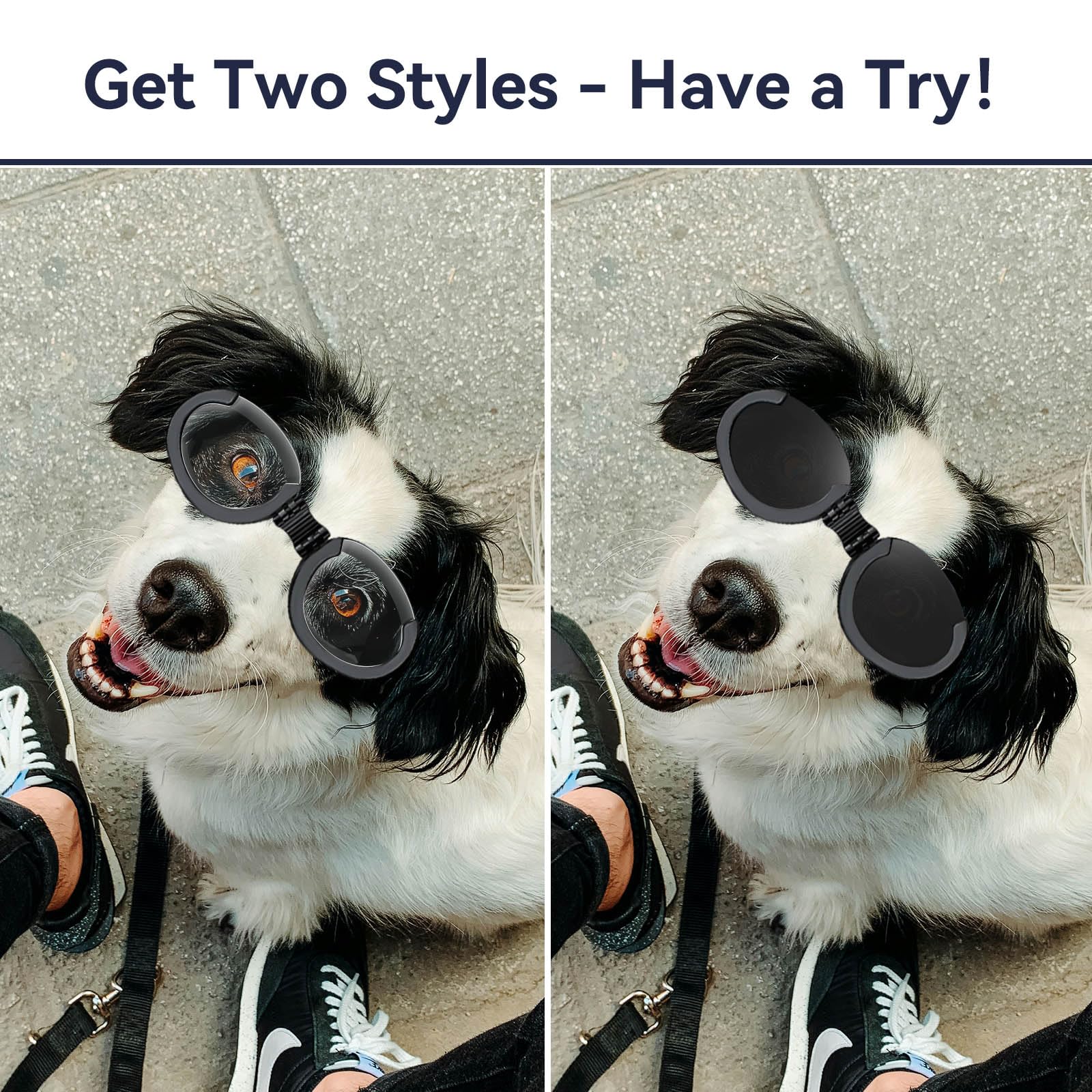 PETLESO dog goggles interchangeable lenses in clear for low light visibility