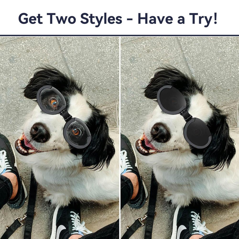 PETLESO dog goggles interchangeable lenses in clear for low light visibility