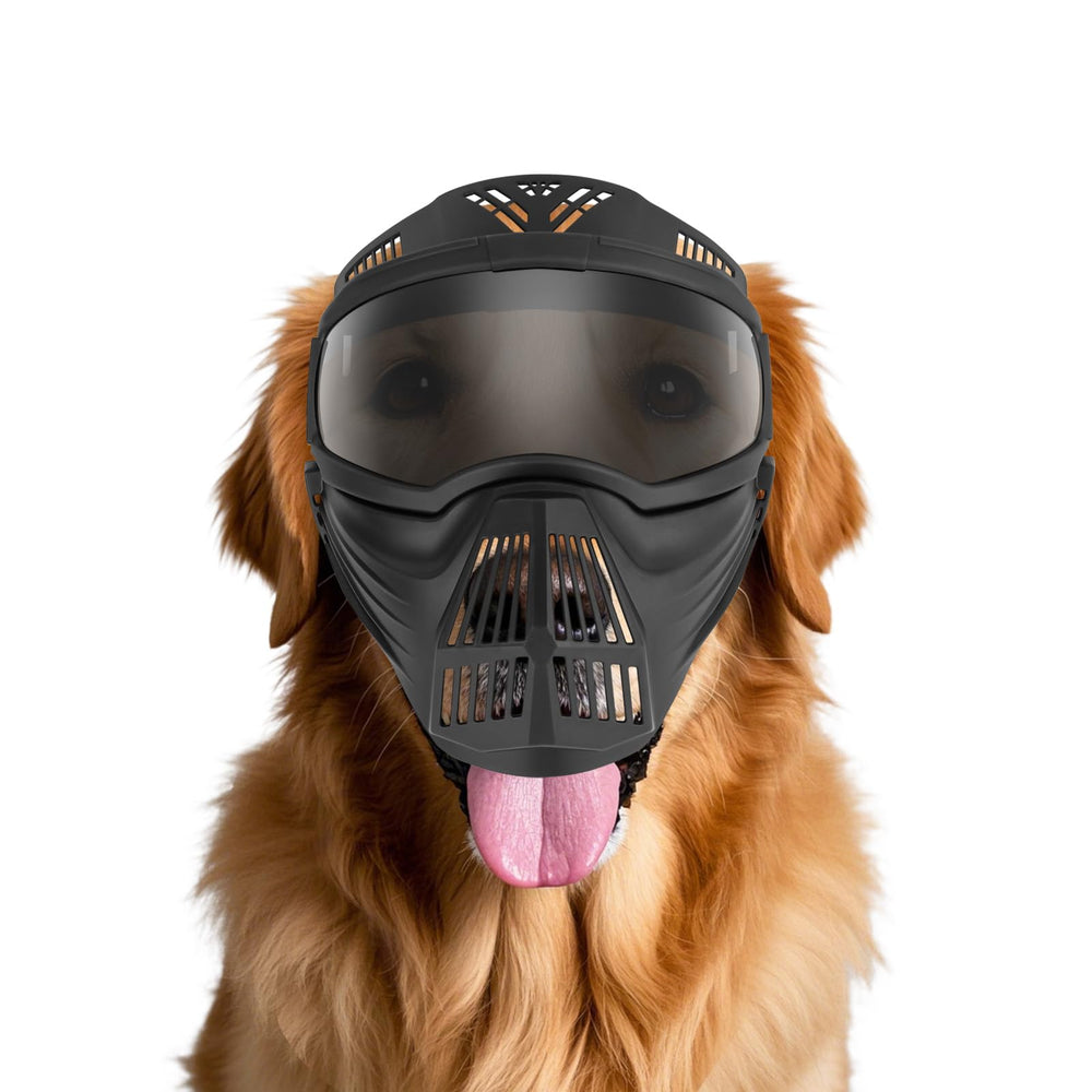 PETLESO dog goggles large breed front view protecting eyes from sun and debris