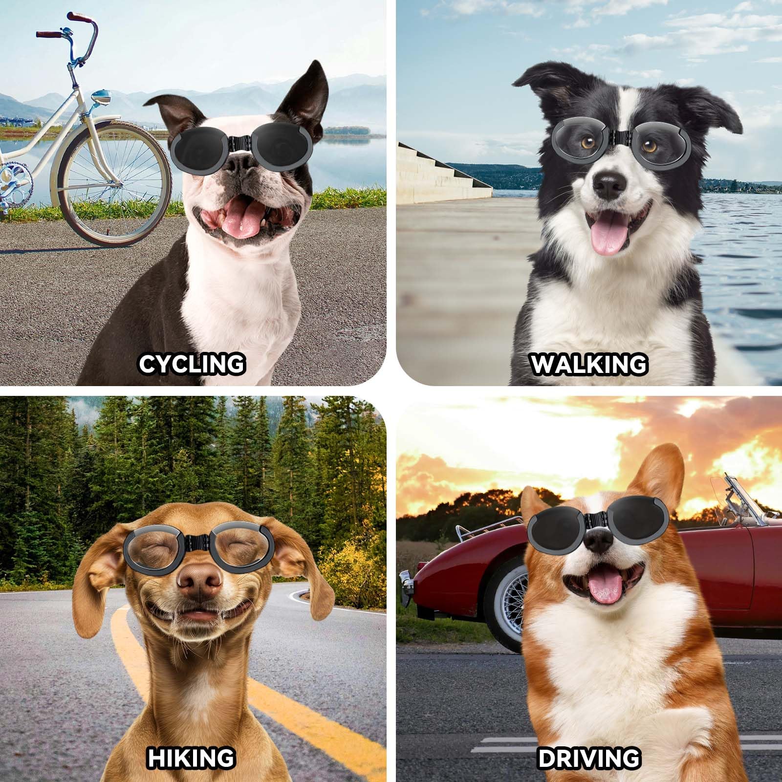 PETLESO dog goggles outdoor use for hiking and beach windproof protection