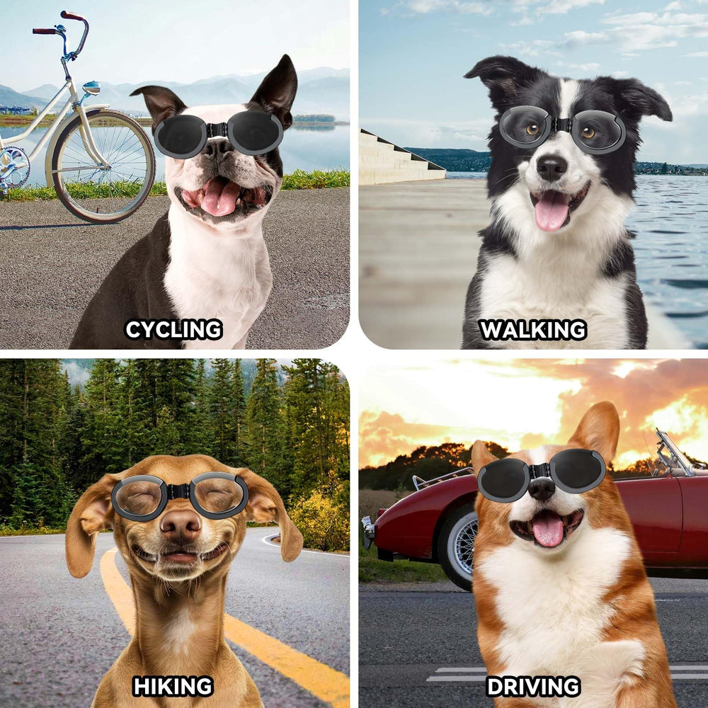 PETLESO dog goggles outdoor use for hiking and beach windproof protection