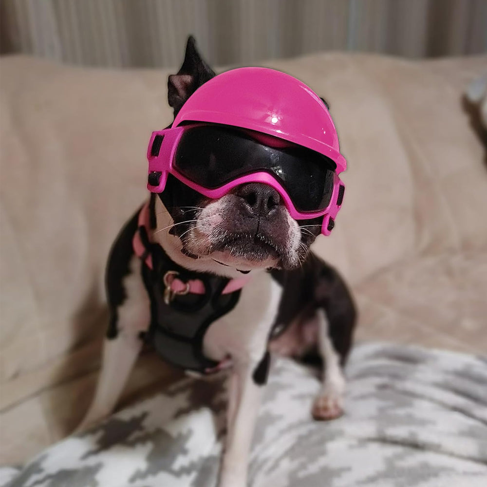 PETLESO dog outdoor setup with helmet and goggles for walking or biking