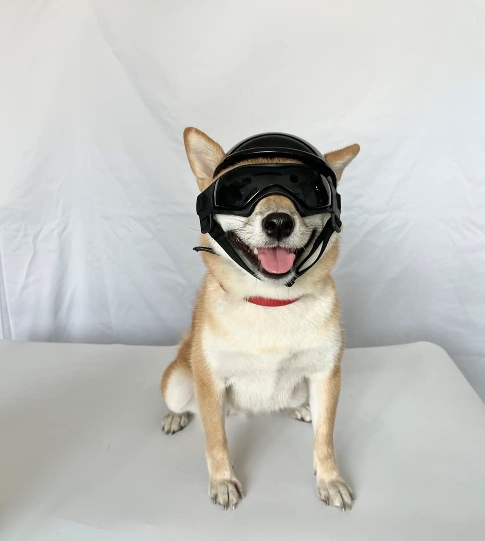 PETLESO outdoor dog activity set protects eyes and head during rides