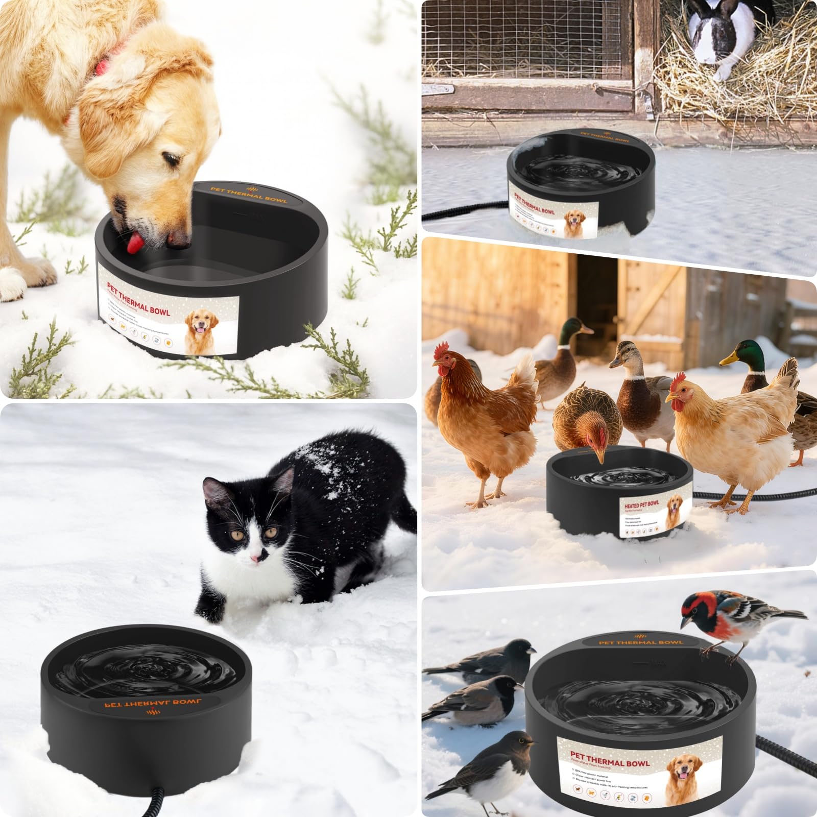 PETLESO Outdoor Heated Water Bowl thermostat display maintains warm water for winter