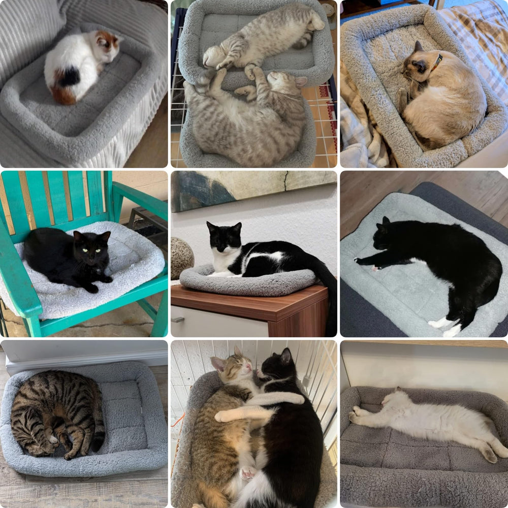 PETLESO small cat bed mat inner 11x18 creates cozy sleeping space.