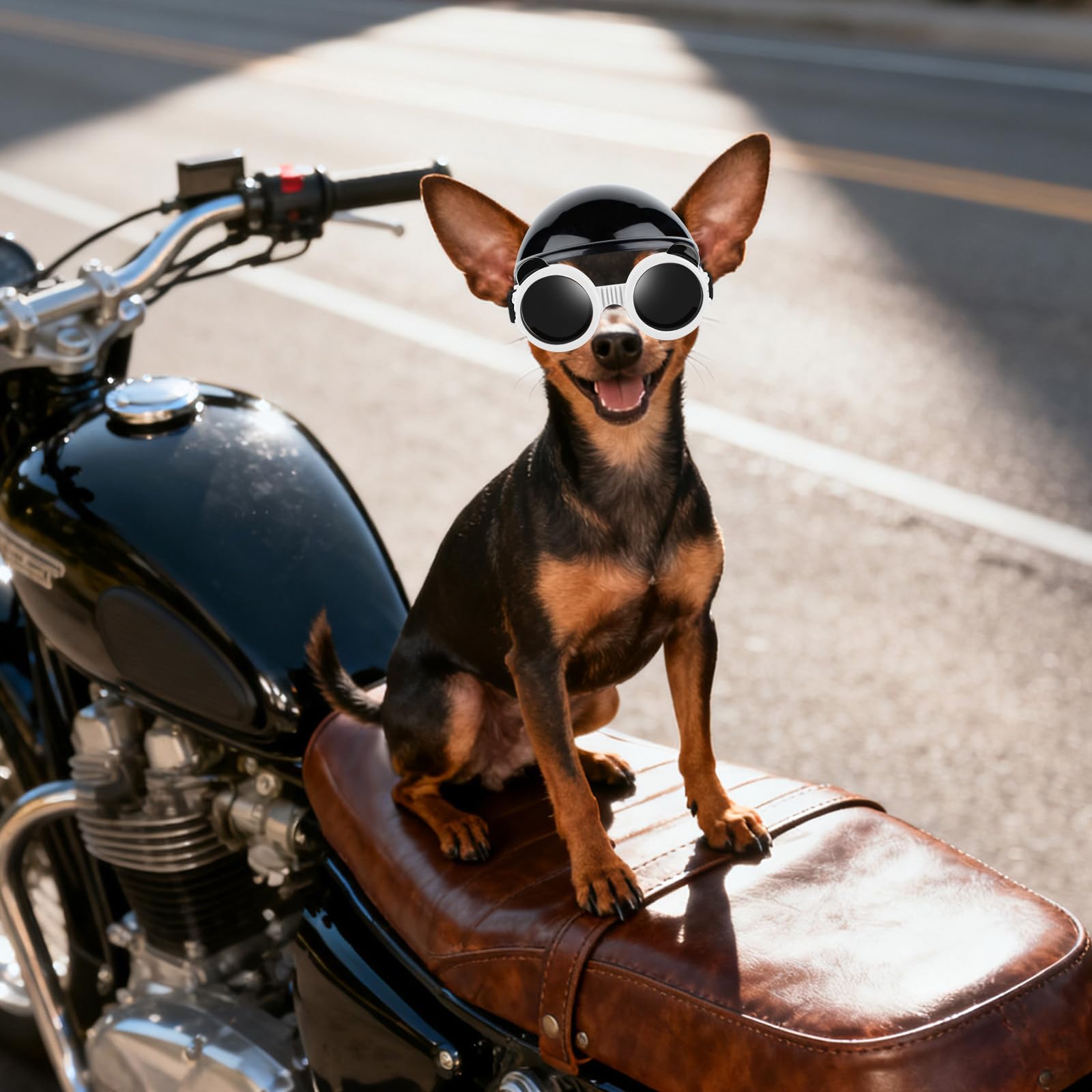 PETLESO small dog eye protection helmet combo ideal for outdoor adventures