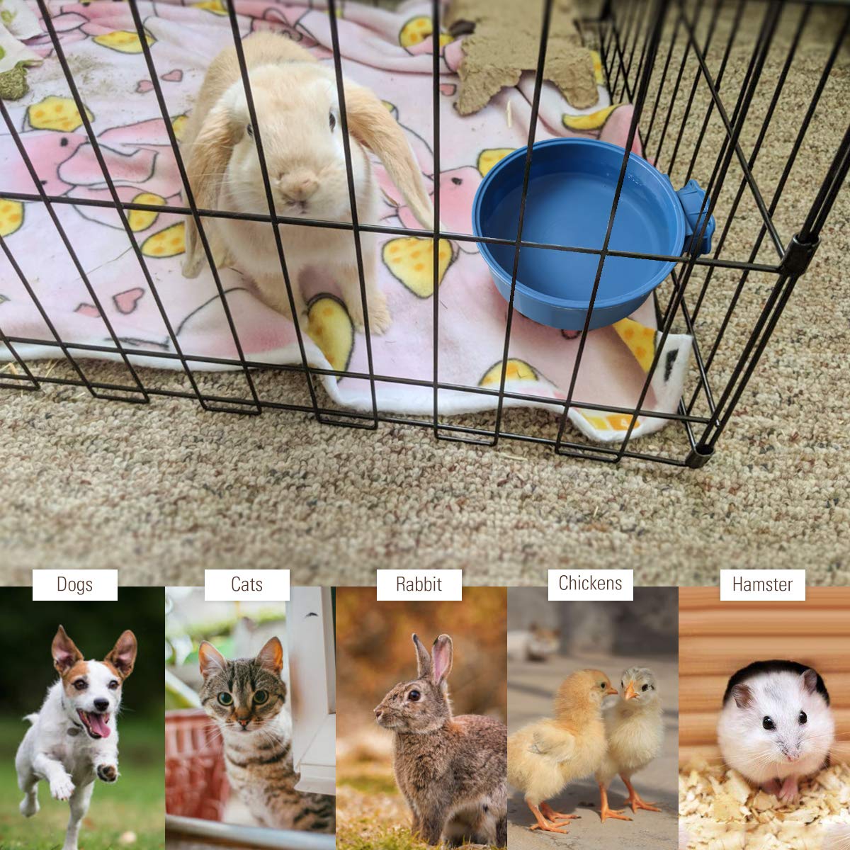 PETLESO suitable for cats, dogs, rabbits, and indoor birds in winter.