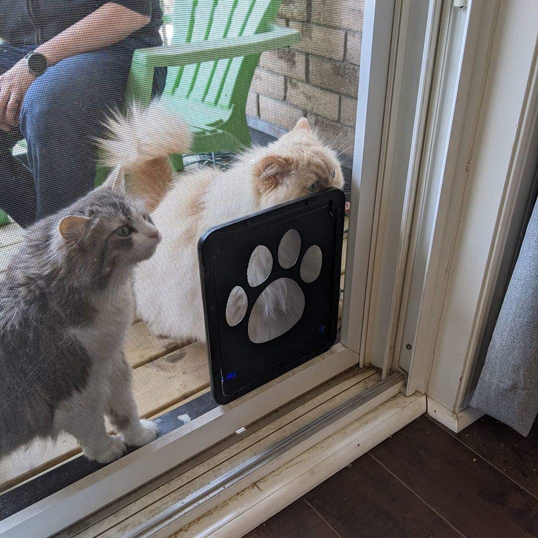 PETLESO teaching tips show how treats guide pets through the door