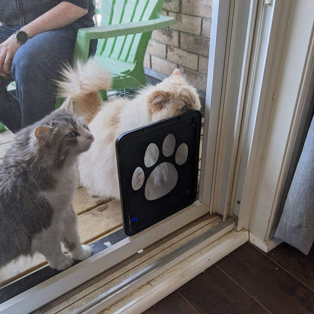 PETLESO teaching tips show how treats guide pets through the door