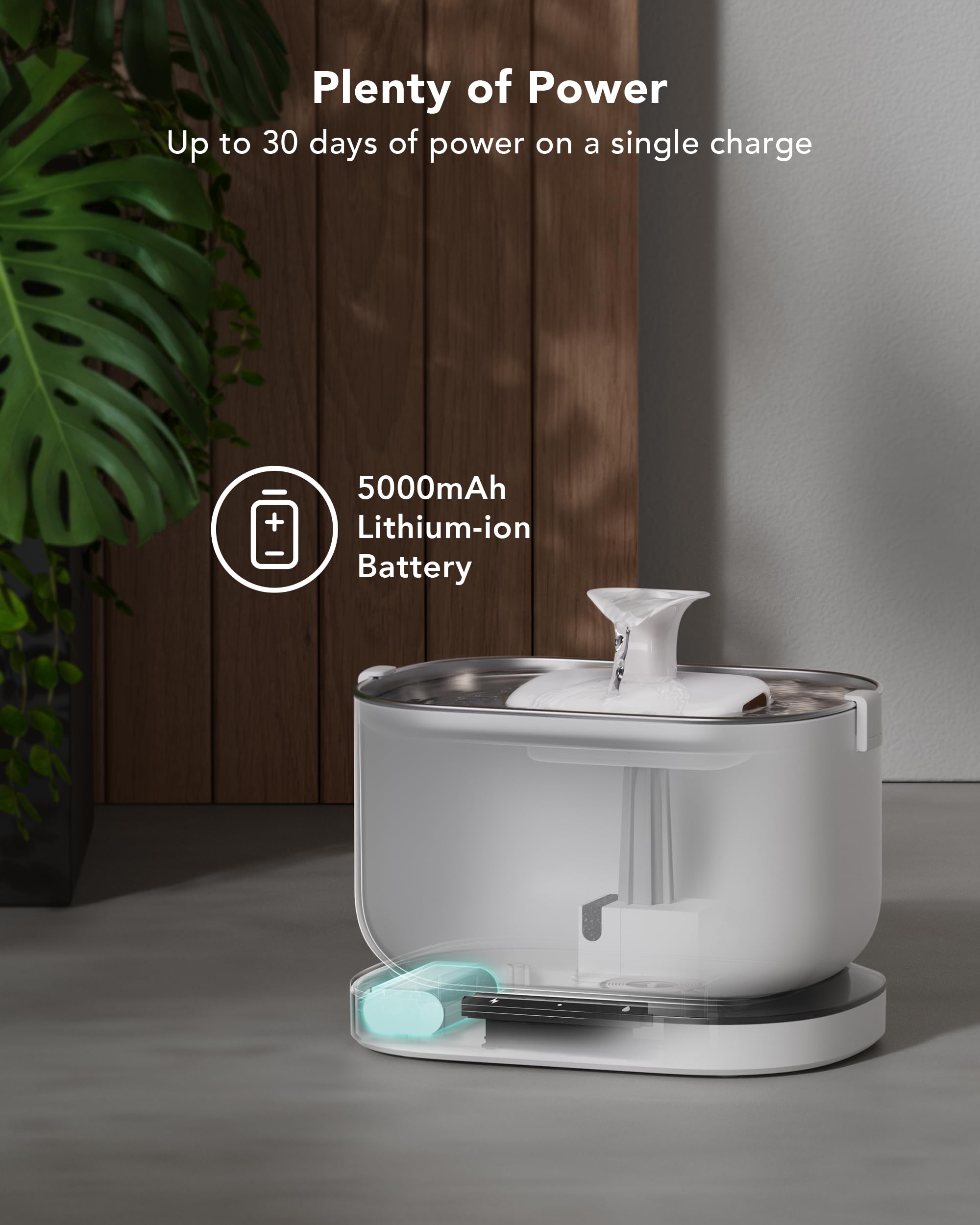 PETLIBRO activated carbon filter reduces odors for fresher drinking water