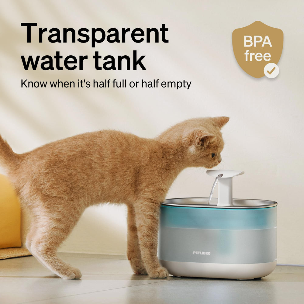 PETLIBRO bubbling stream mode to encourage drinking in cats