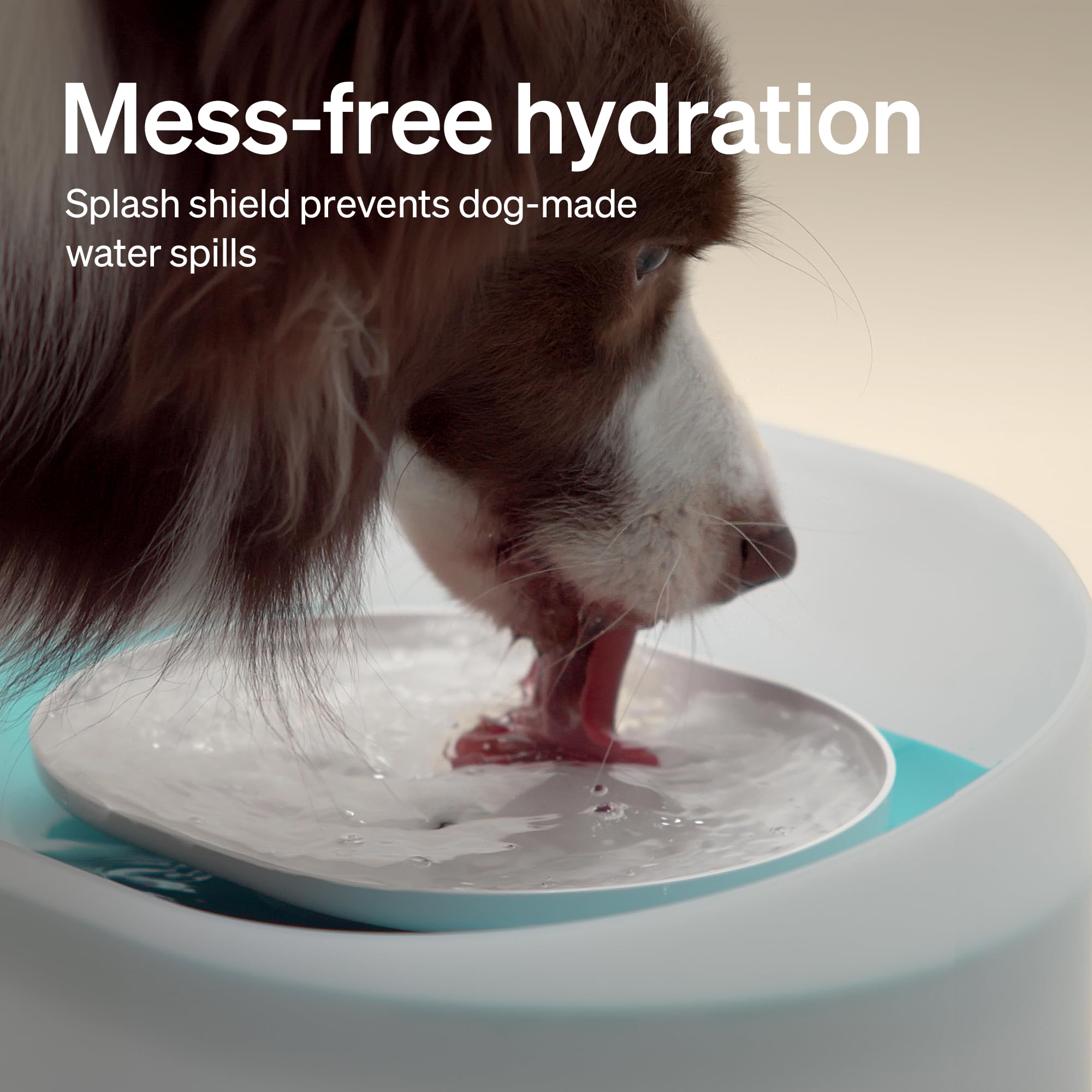 PETLIBRO dog water fountain quiet pump emphasizes ultra-quiet operation for peaceful nights.