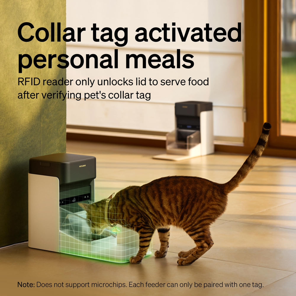 PETLIBRO QR-code tag on surface ready for contact info and reunion help.