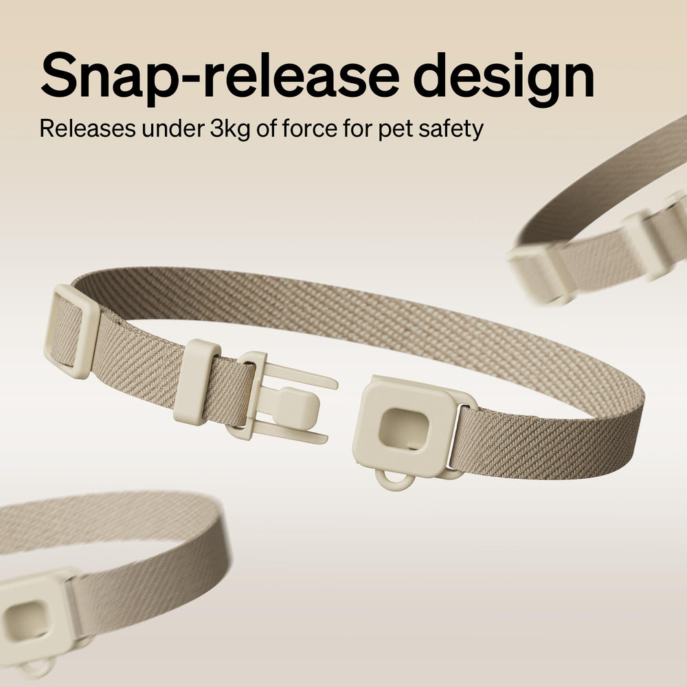 PETLIBRO RFID tag on a cat collar ready for hydration tracking and exclusive feeder access.