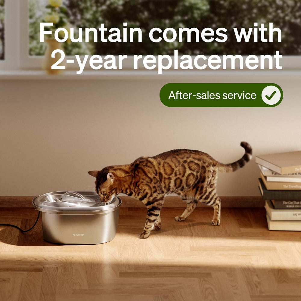 PETLIBRO installation visuals show quick, mess-free filter changes for busy households.