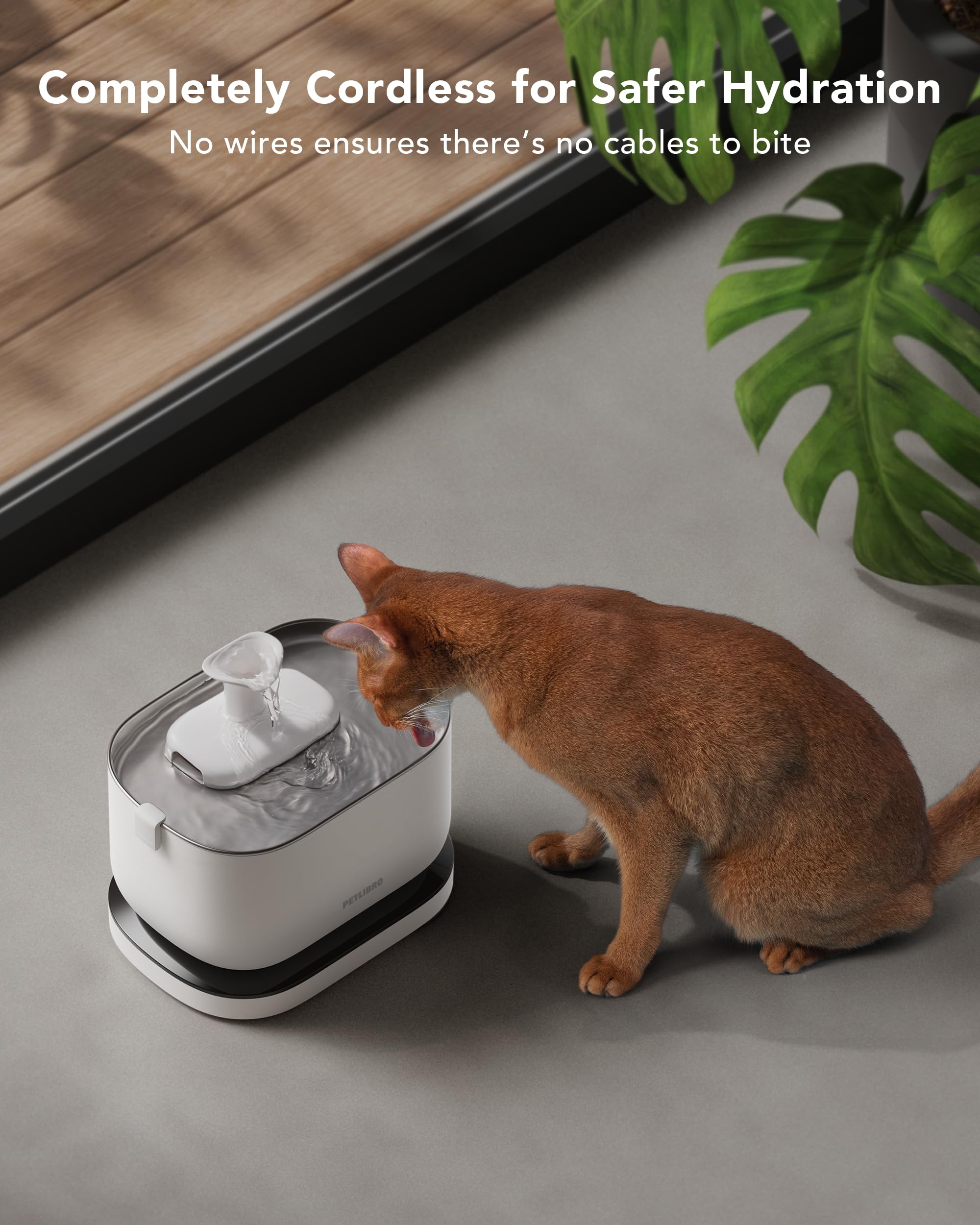PETLIBRO wireless pump close-up demonstrates quiet operation for pet comfort