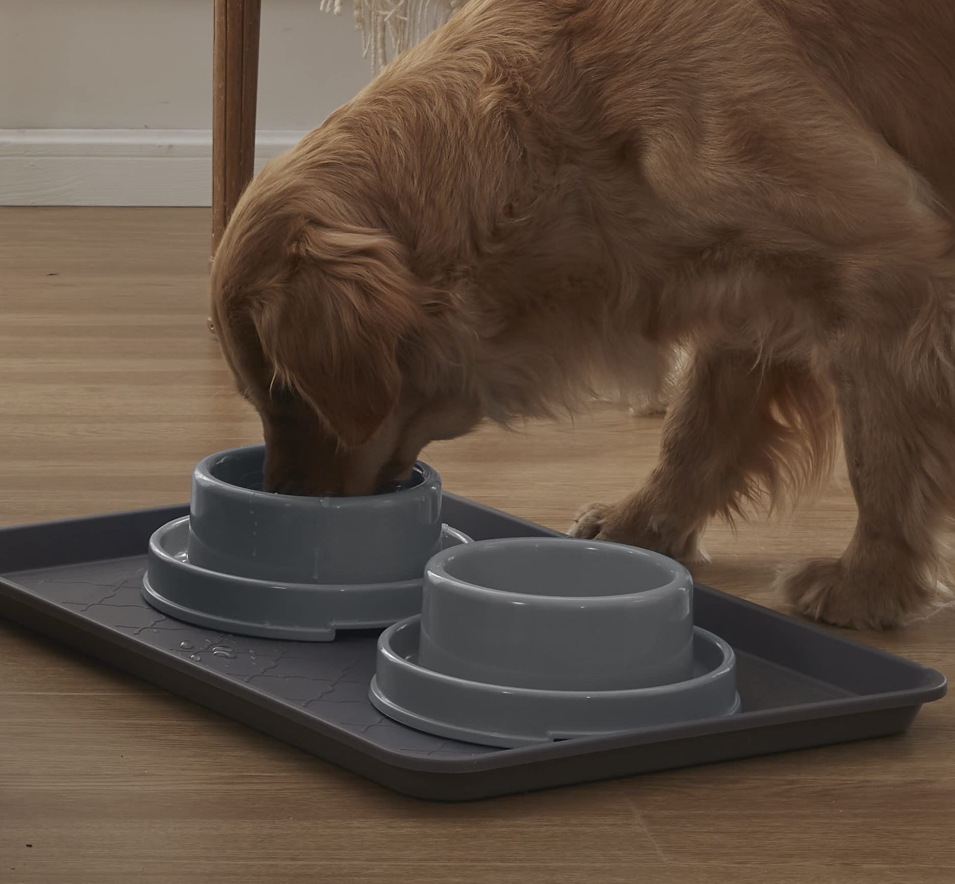 PetLike fácil de limpiar y apto para lavavajillas para uso diario