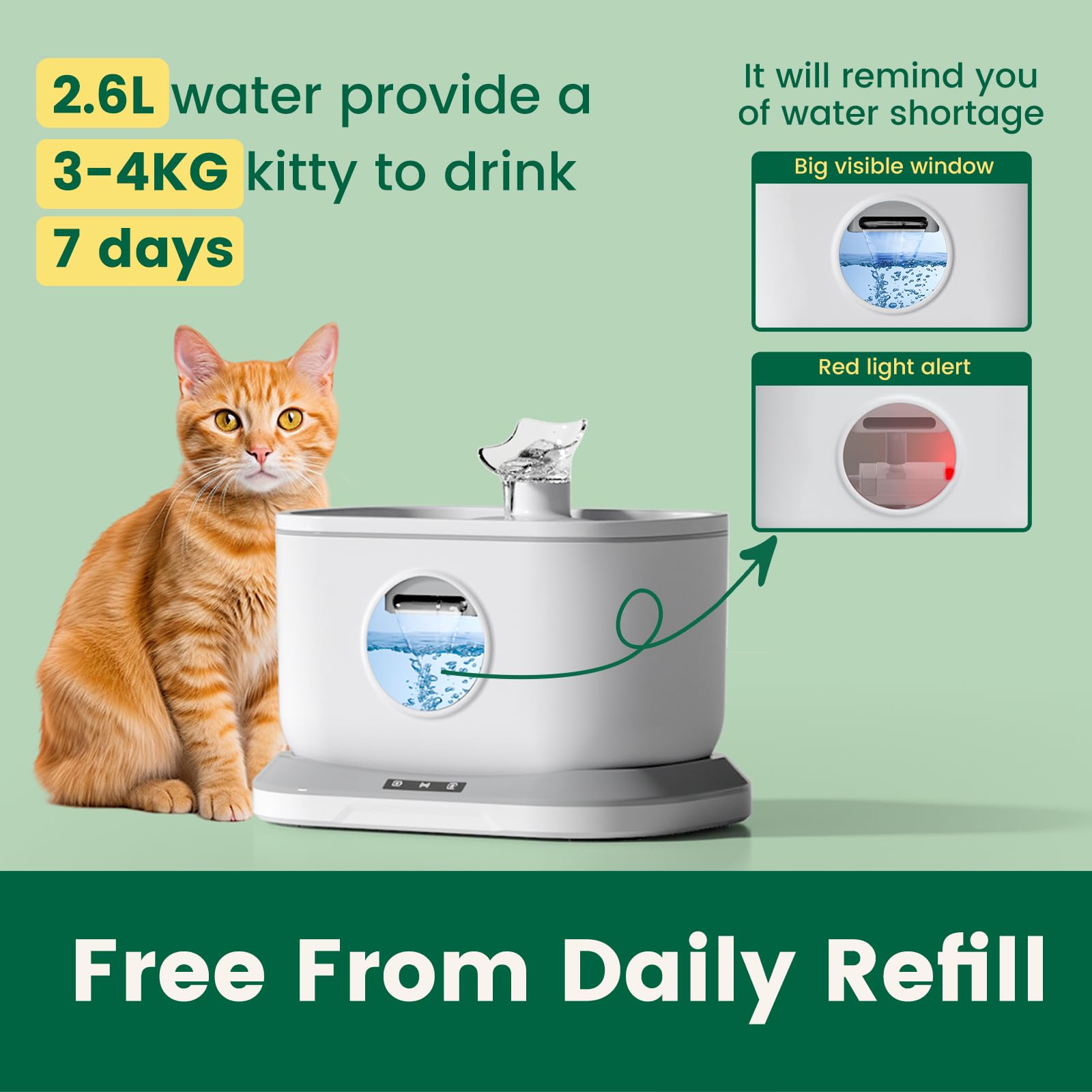 Petlipo 2.6L capacity with a clear water window helps monitor hydration at a glance.