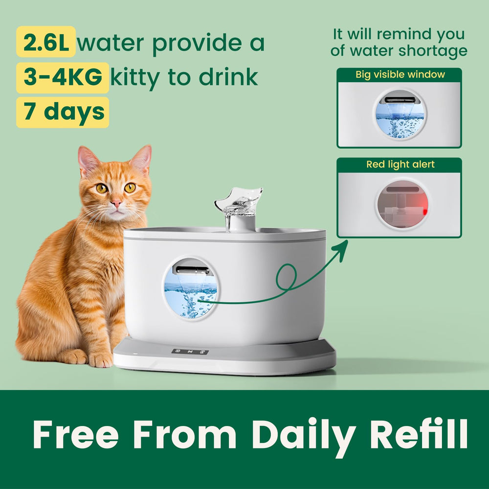 Petlipo 2.6L capacity with a clear water window helps monitor hydration at a glance.