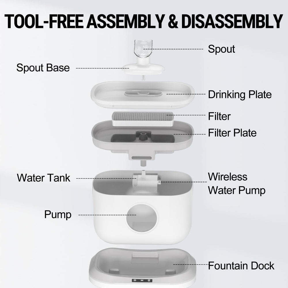 Petlipo anti-slip base keeps the fountain stable during active drinking.