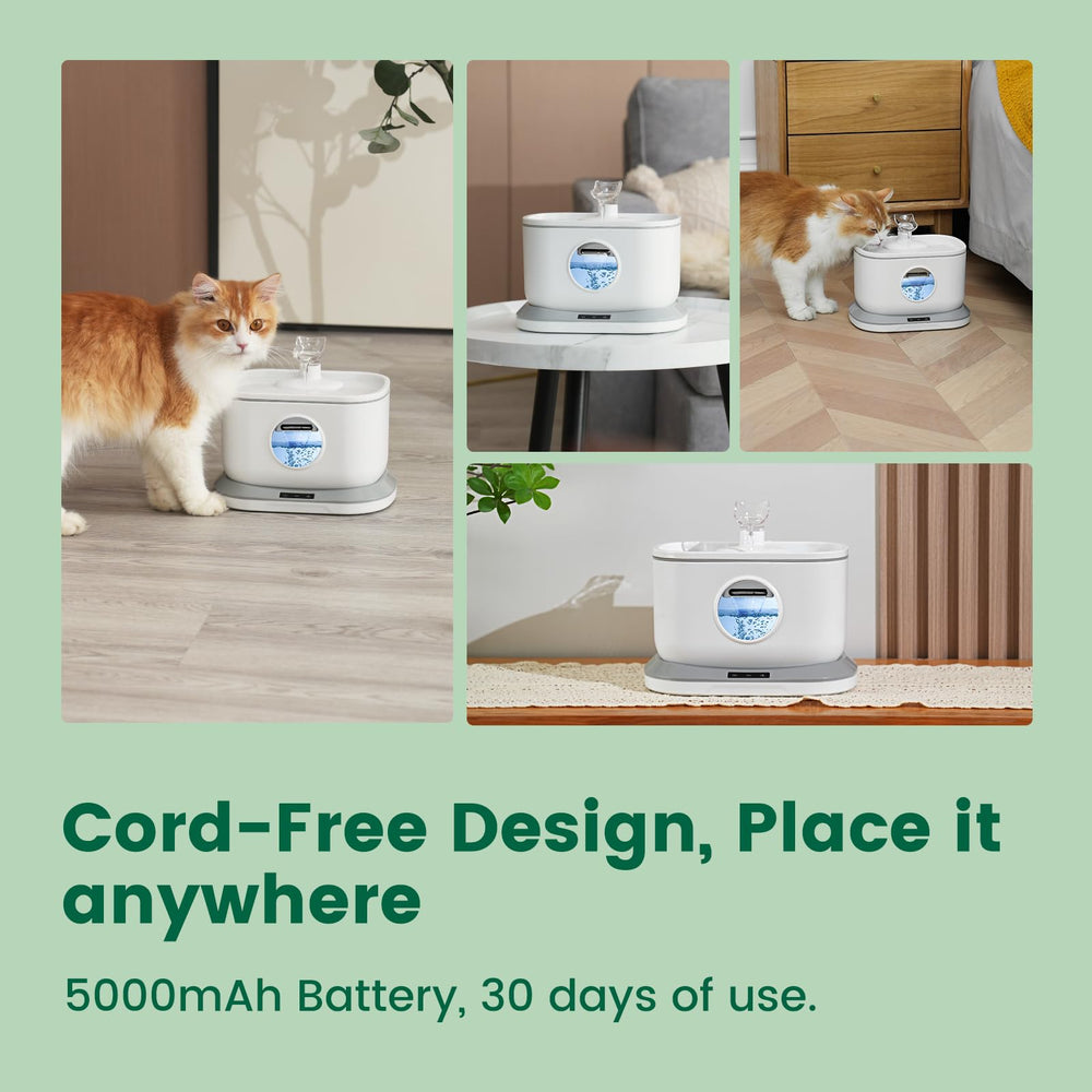 Petlipo detachable design makes cleaning and maintenance quick and simple.